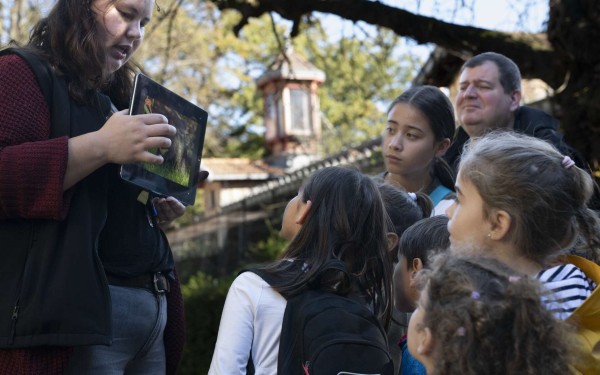 Visite famille de la Ménagerie : L'affaire du thé vert