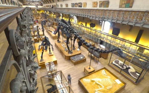 Galerie de Paléontologie et d'Anatomie comparée